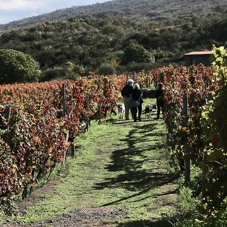 La Dimora Del Castelluccio 4* 卡迪里翁西塞尔